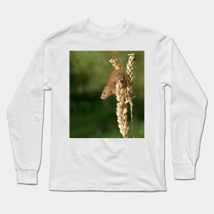 Harvest mouse on an ear of wheat Long Sleeve T-Shirt